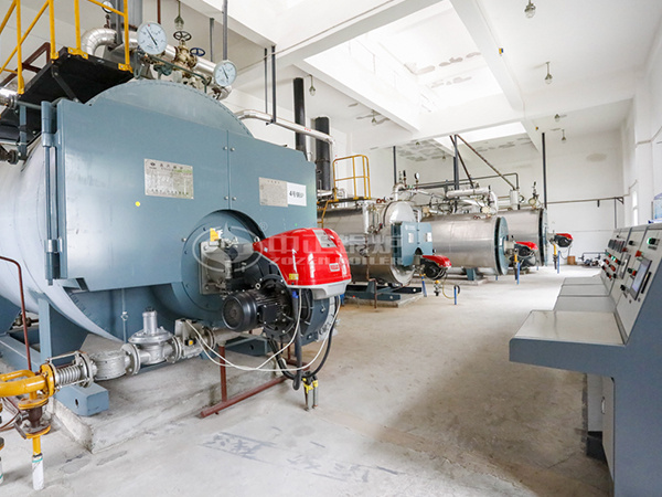 運(yùn)行在三易食品的多臺中正燃?xì)忮仩t