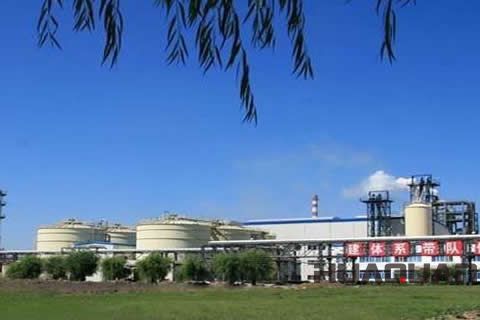 『隨華全，觀天下』 ——走進綏化