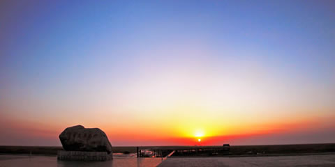 『隨華全，觀天下』 ——走進(jìn)崇明