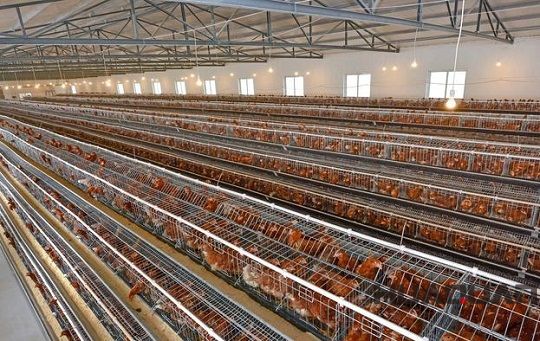 迎風(fēng)而上冒雨前行，華全發(fā)電機(jī)組用實(shí)際行動(dòng)助力南京抵御臺風(fēng)侵襲