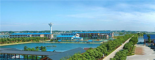 專業(yè)巡檢，熱心服務(wù)!華全發(fā)電機(jī)組助力養(yǎng)殖企業(yè)溫暖過冬!